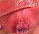 Acc Gape My Pussy