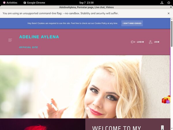 Adelineaylena.modelcentro.com Id Password