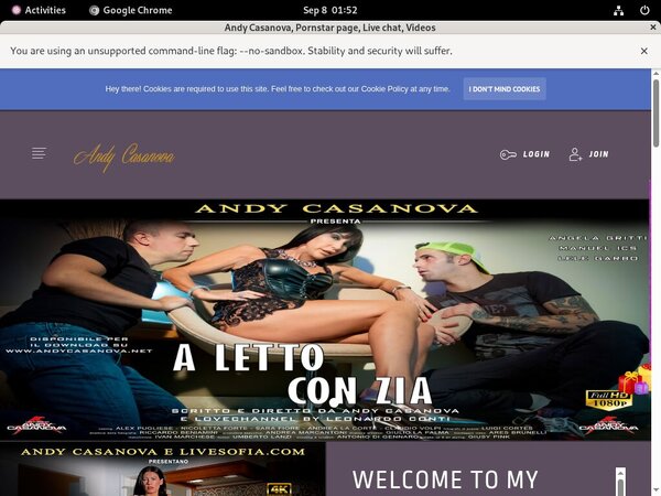 Andycasanova.net Discreet Billing