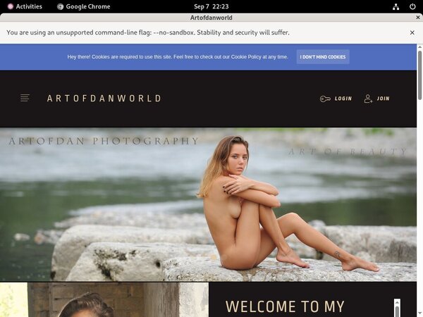 Artofdanworld Register Free