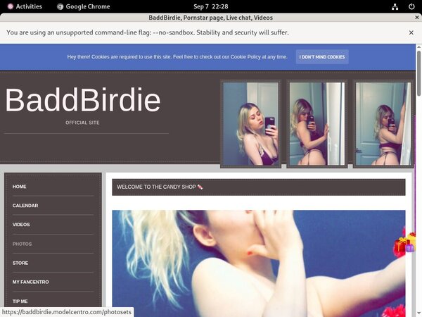 Baddbirdie.modelcentro.com Stolen Password