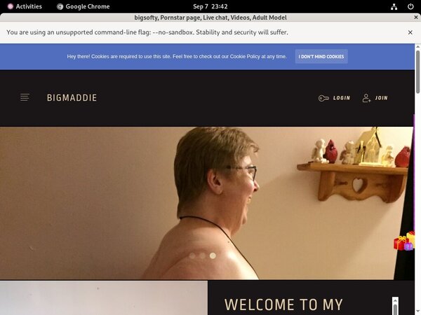 Bigmaddie.com Site Passwords