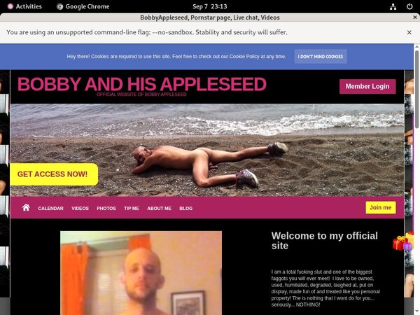 Bobbyappleseed.modelcentro.com Discount Setup