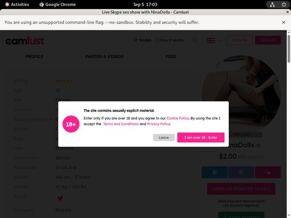 Camlust.com Checkout Form