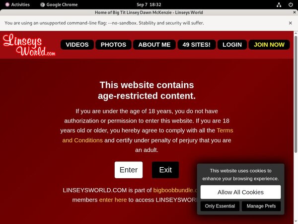Cracked Linseysworld.com Account