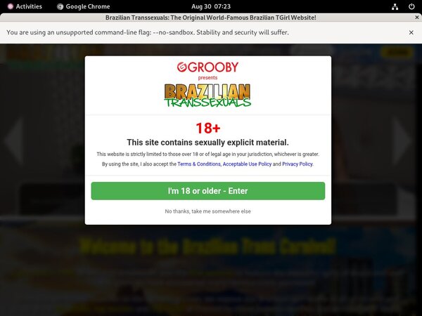 Free Account In Braziliantranssexuals