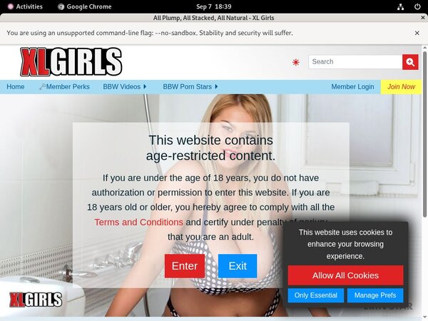 Free Accounts For Xlgirls.com