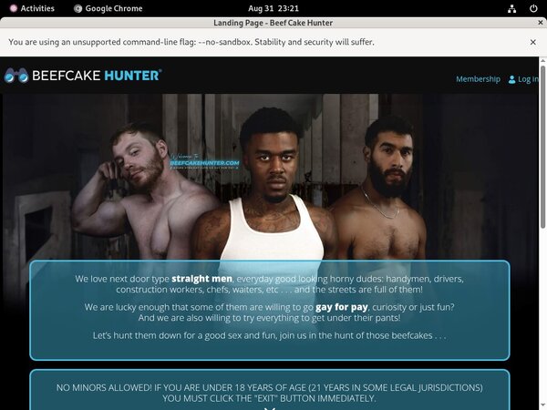 Free Beefcakehunter.com Passwords