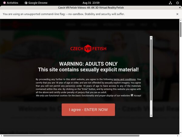 Free Czechvrfetish Scenes