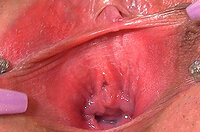 Gape My Pussy Buy s3