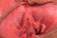 Gape My Pussy Discount Trial Offer s0