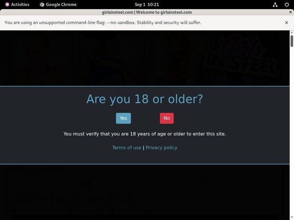 Girlsinsteel.com Login Generator
