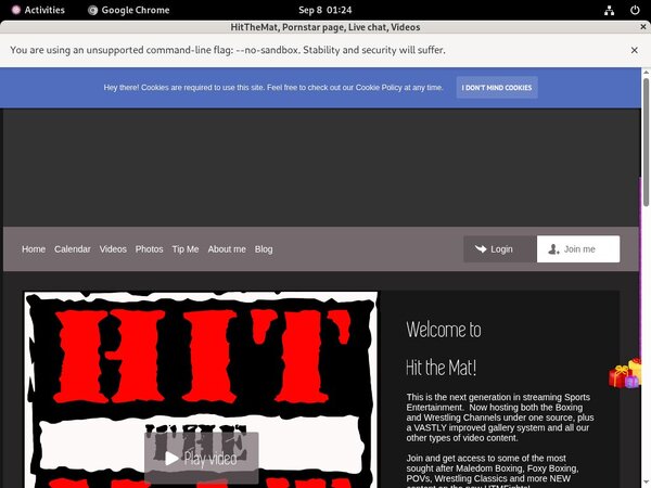 Hitthemat Paypal Access