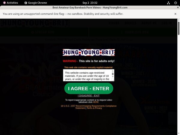 Hungyoungbrit.com Working Pass