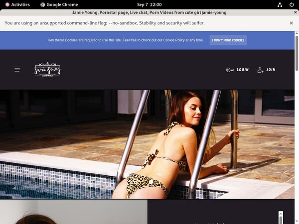 Jamie Young Web Site Jamie Young Web Site