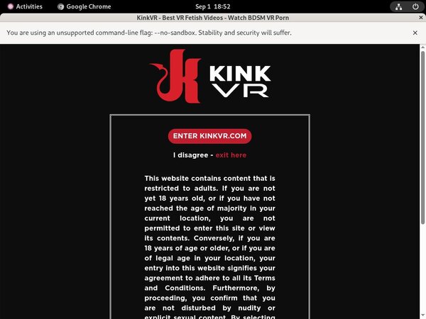 Kink VR Porn Video