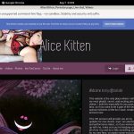 Kitten Alice With Paypal