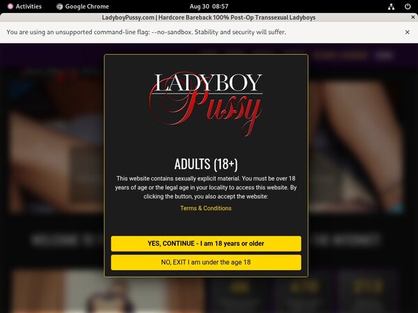 Ladyboy Pussypassword Free