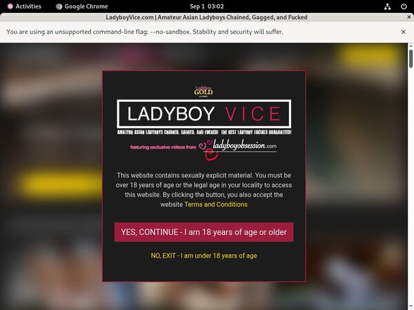 Ladyboyvice Bypass