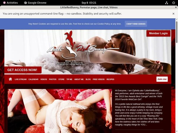 LittleRedBunny Site Rip 2018