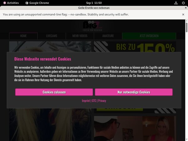 Log In Linda Kiss