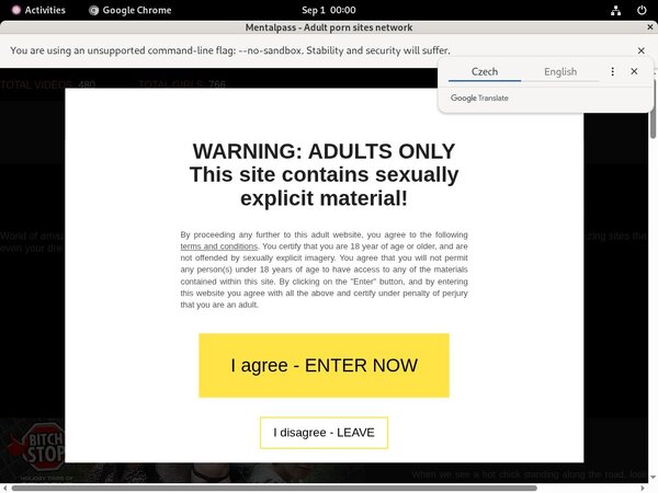Mental Pass Account Passwords