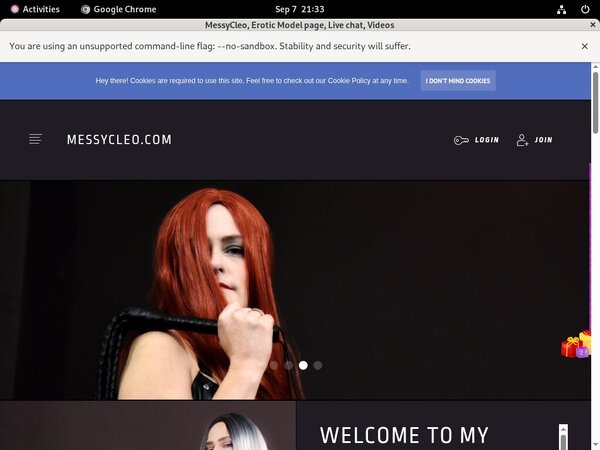 MessyCleo Com Paypal