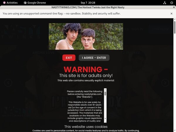 Nasty Twinks With Credit Card