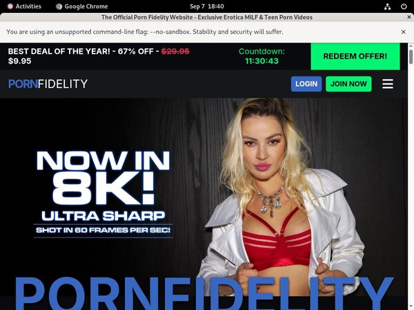 New Porn Fidelity