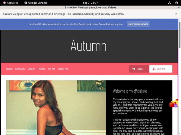 Password BittyKitty Free