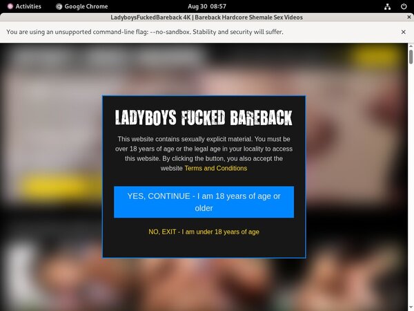 Passwords To Ladyboysfuckedbareback.com