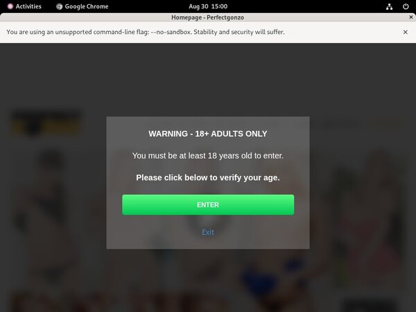 Perfectgonzo.com Password 2018