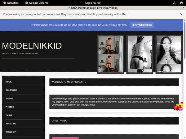 Register ModelNikki