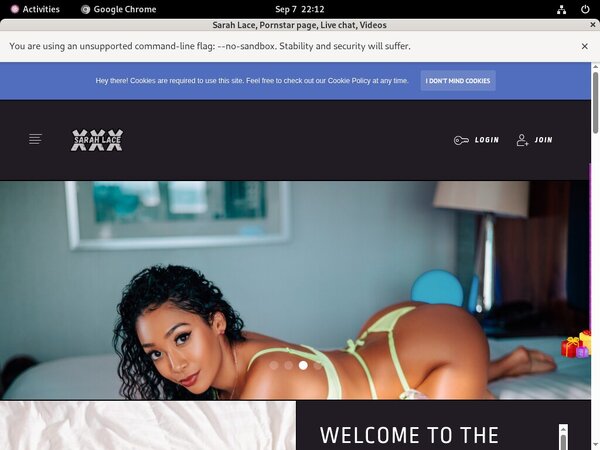 Sarah Lace Passwords 2018