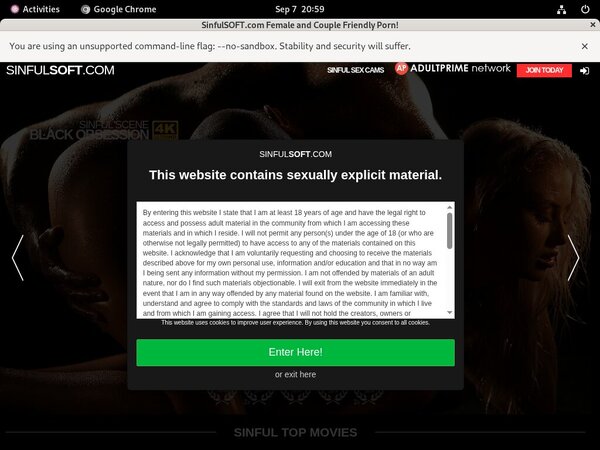 Sinfulsoft Web Site