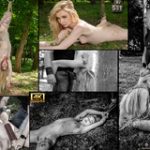Subspace Land Update Subspace Land Update