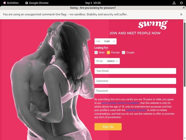 Swing.net Free Trial Password