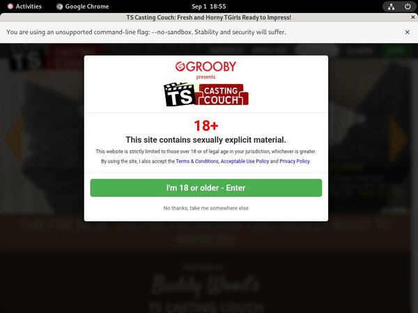 Tscastingcouch Checkout Page