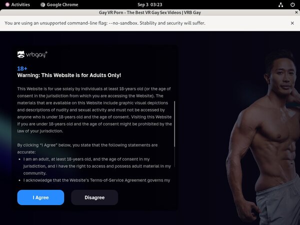 VRB Gay Site Review