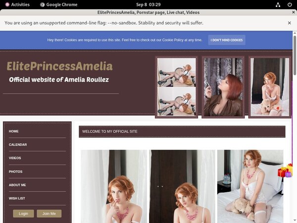 Valid Eliteprincessamelia.modelcentro.com Passwords