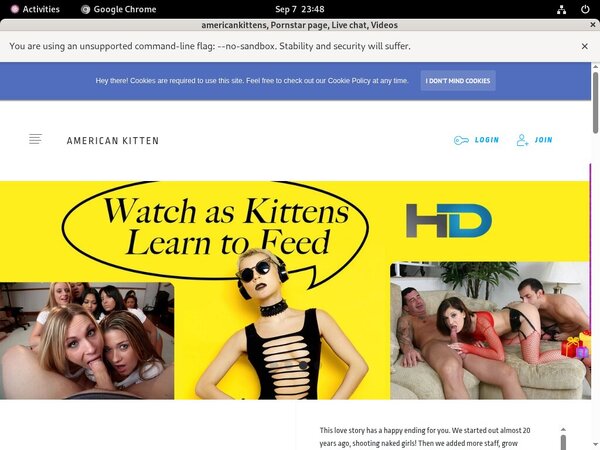 Americankittens Checkout Form