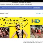 Americankittens Free Trial Pw