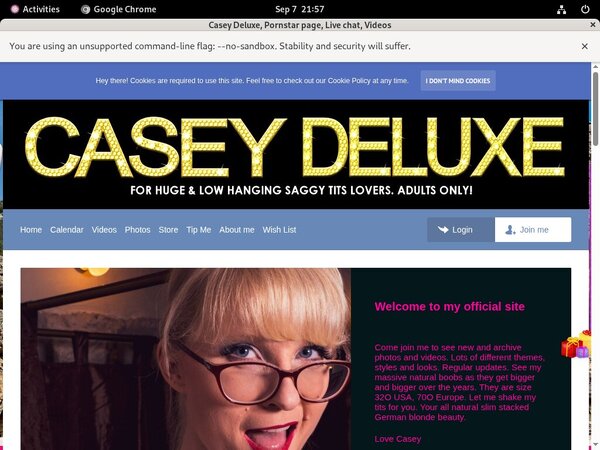 Casey Deluxe Login Free Casey Deluxe Login Free