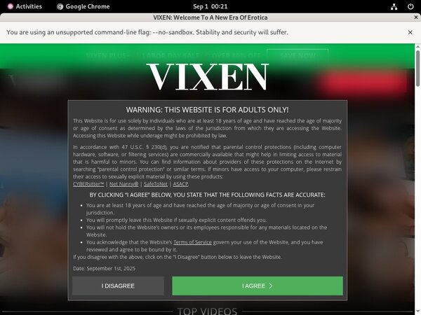 Vixen Active Accounts Vixen Active Accounts